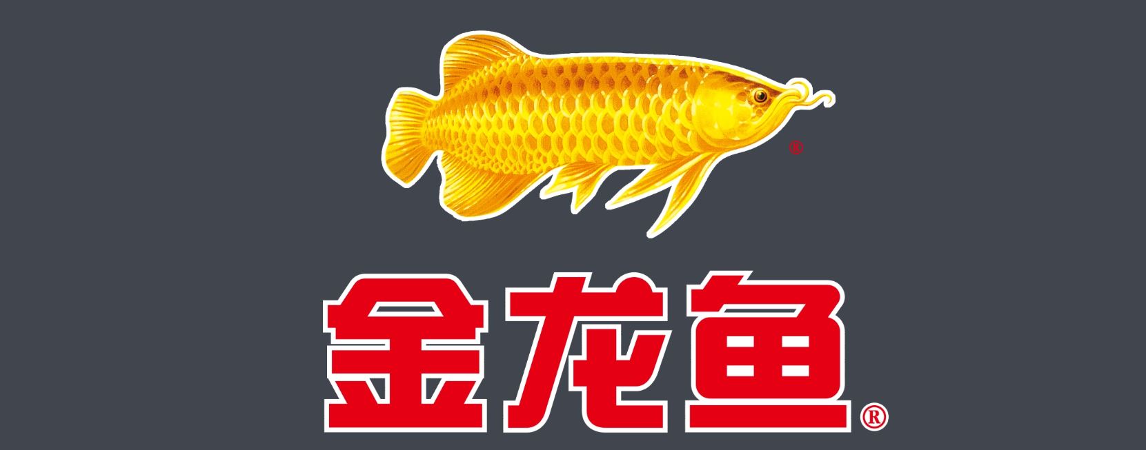 2024年金龙鱼套保业务盈利123亿，再创新高！