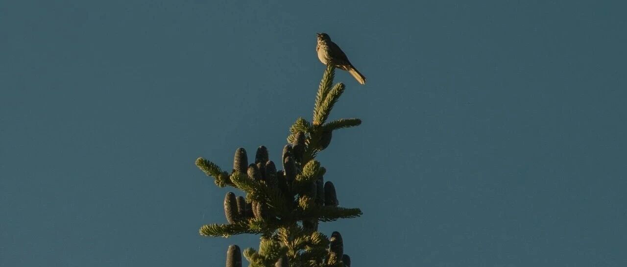 投资者如何正确评估上市公司的套期保值行为(三)