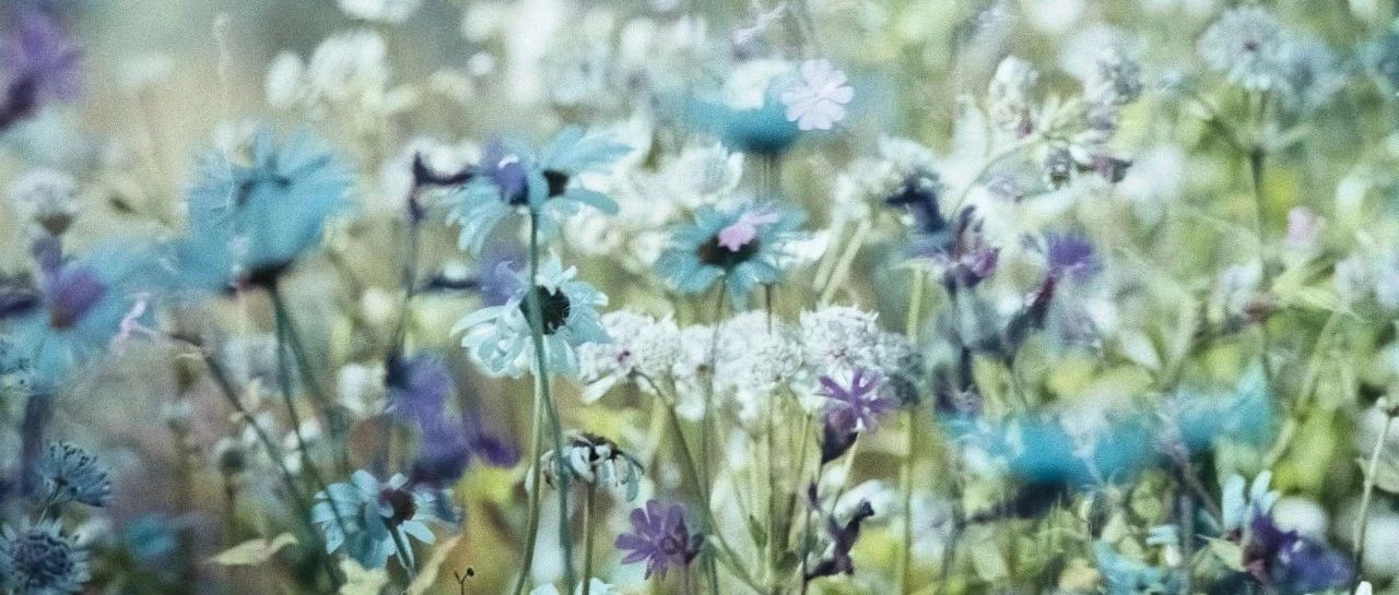 汇率波动下的“小账单”与“大账单”:避险需求激增 亟待外汇期货补位“最后一公里”