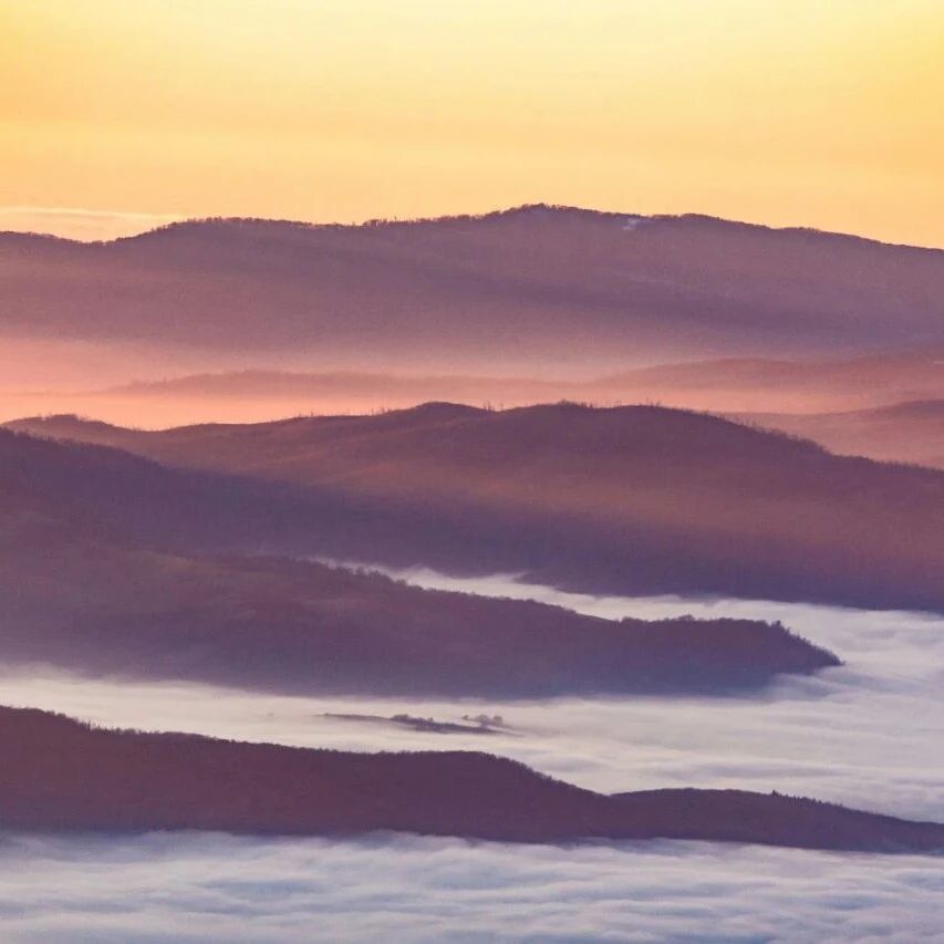 8月,套保公司数量同比翻倍!1-8月,发布套保相关公告的上市公司数量累计1583家,已超越2024年全年!!