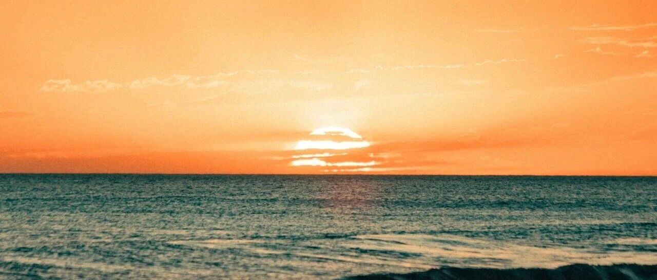 2025年上半年,套期保值业务盈利排名前十的实体上市公司都是哪些?