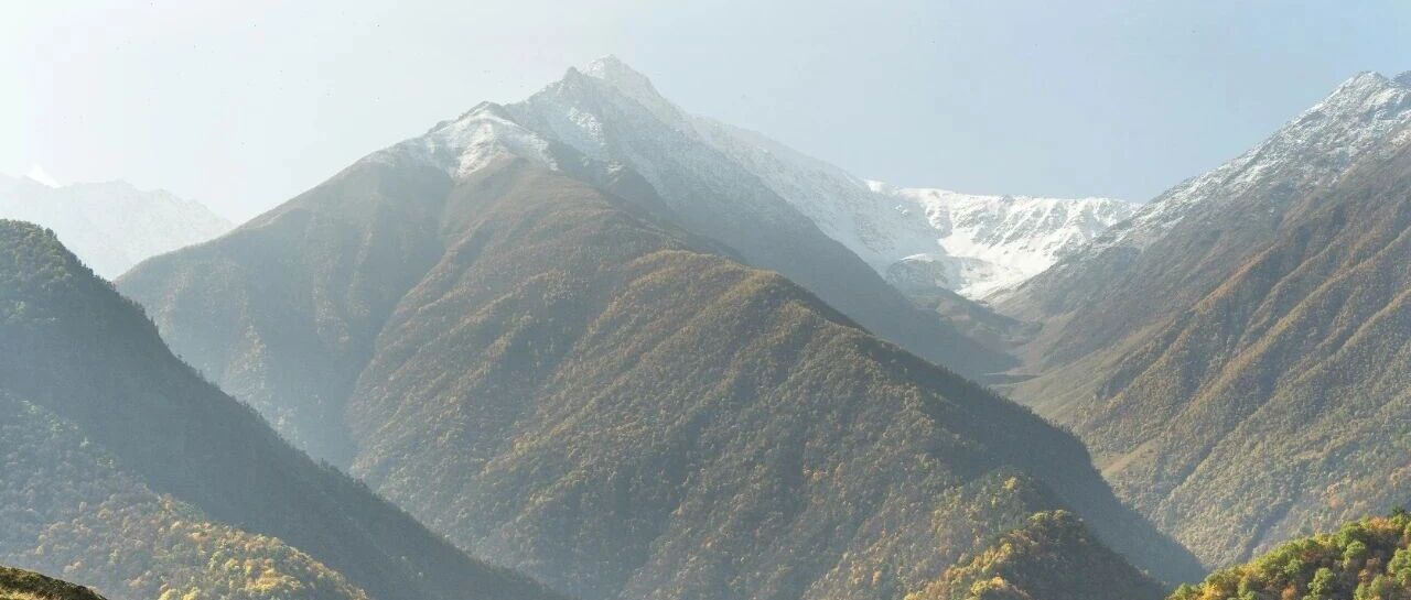 “先交货、后点价”助力短纤企业优化生产模式