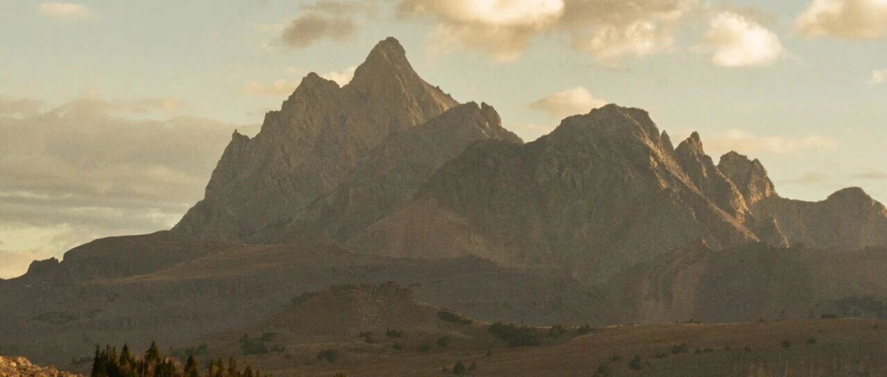 1-9月,发布套保相关公告的上市公司数量累计1623家,已超过2024全年家数!