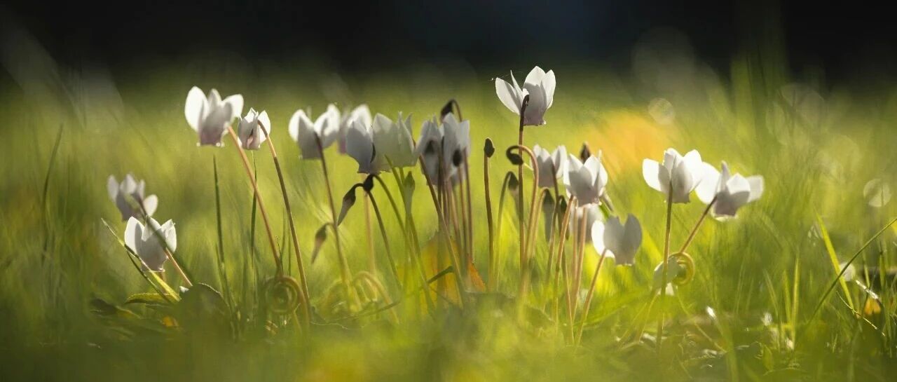 应对大宗商品不确定性 套期保值已成A股公司“常规操作”