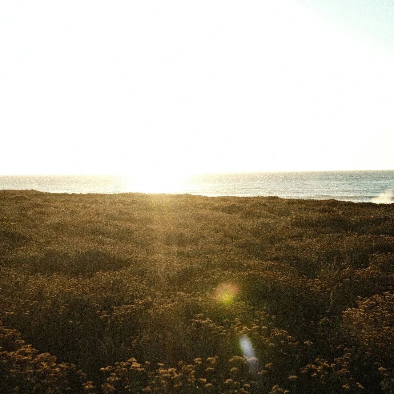 上市公司套保进入精耕细作时代