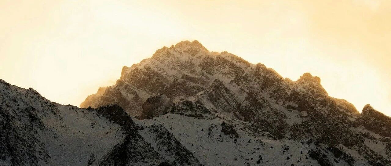 避险网收到郑州商品交易所的感谢信