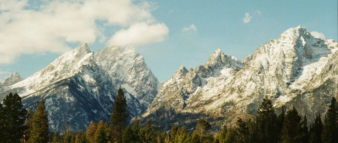 2026年，实体企业最关注的期货新品种会有哪些？